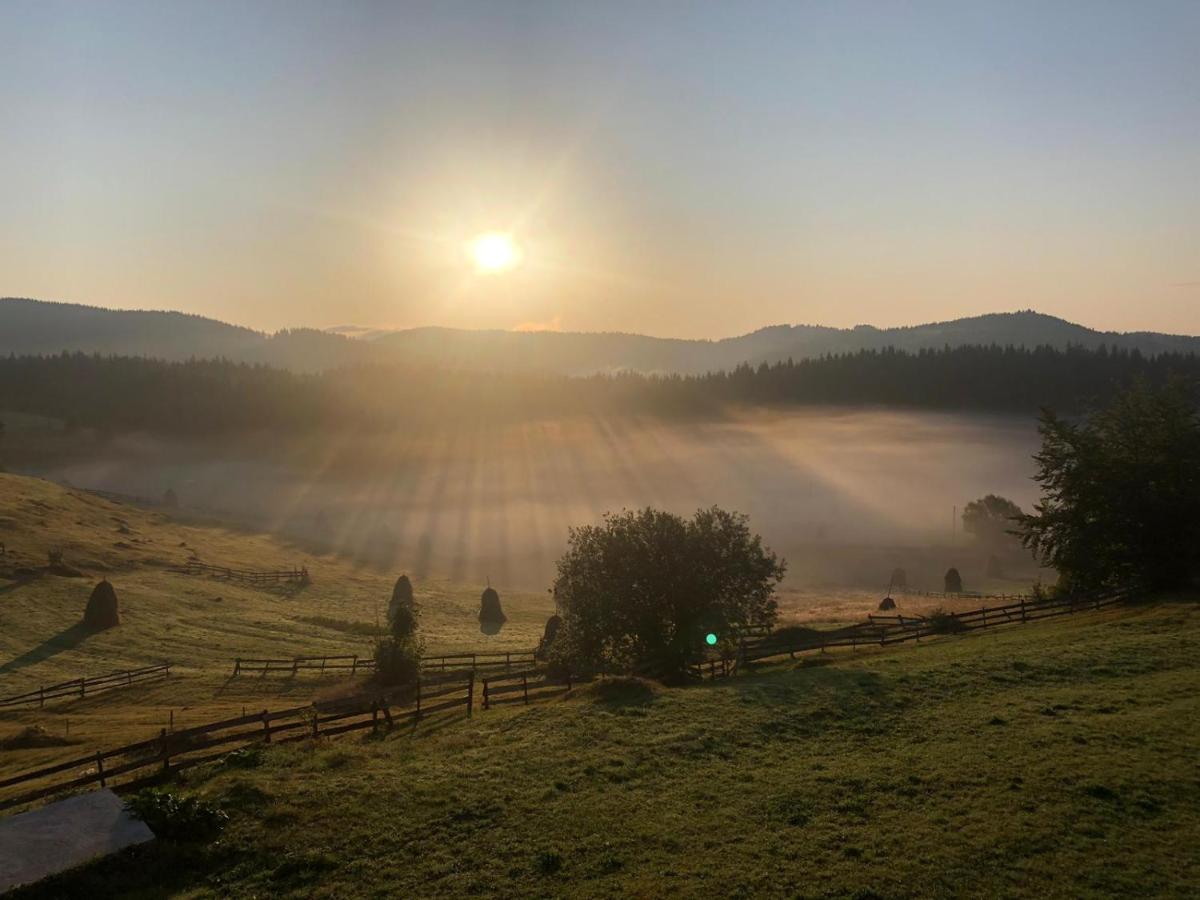 Poiana Dealul Frumos Lodge Gîrda de Sus