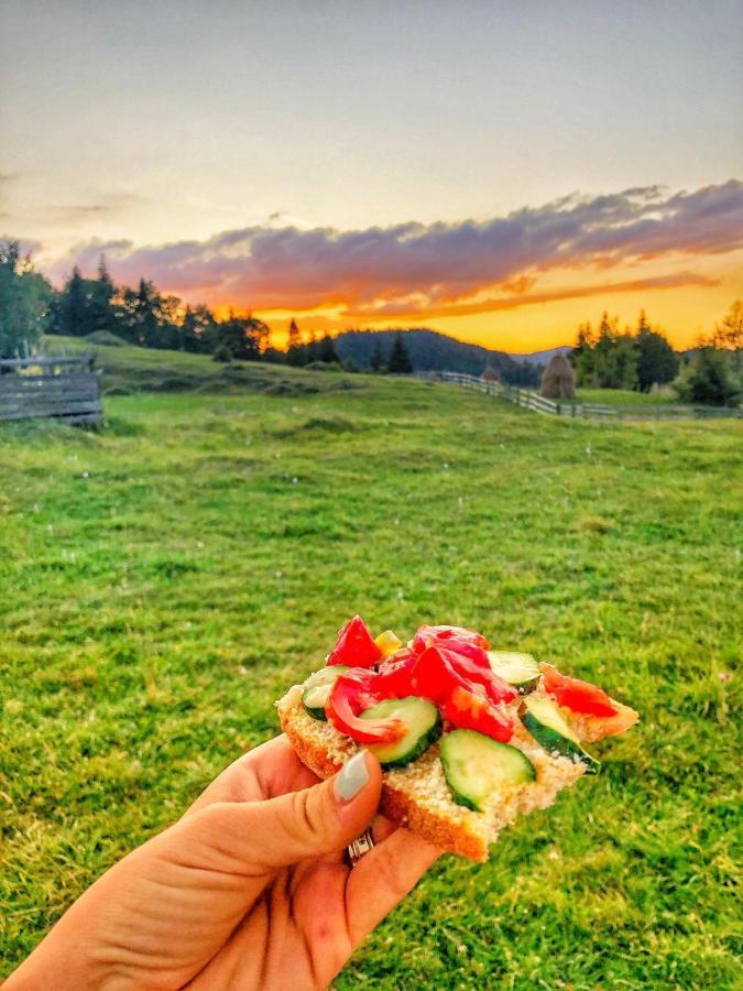 Poiana Dealul Frumos * Gîrda de Sus