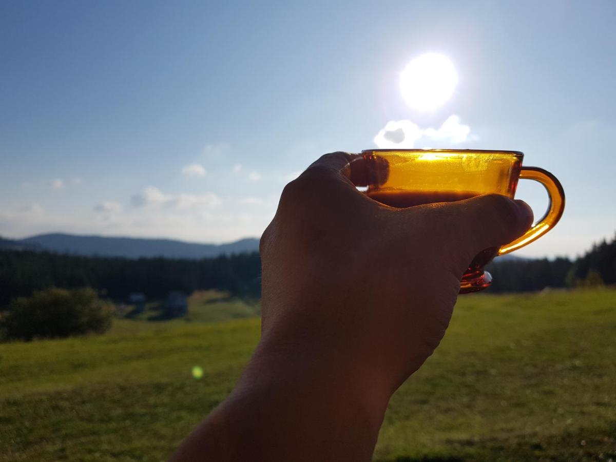 Poiana Dealul Frumos Lodge Gîrda de Sus