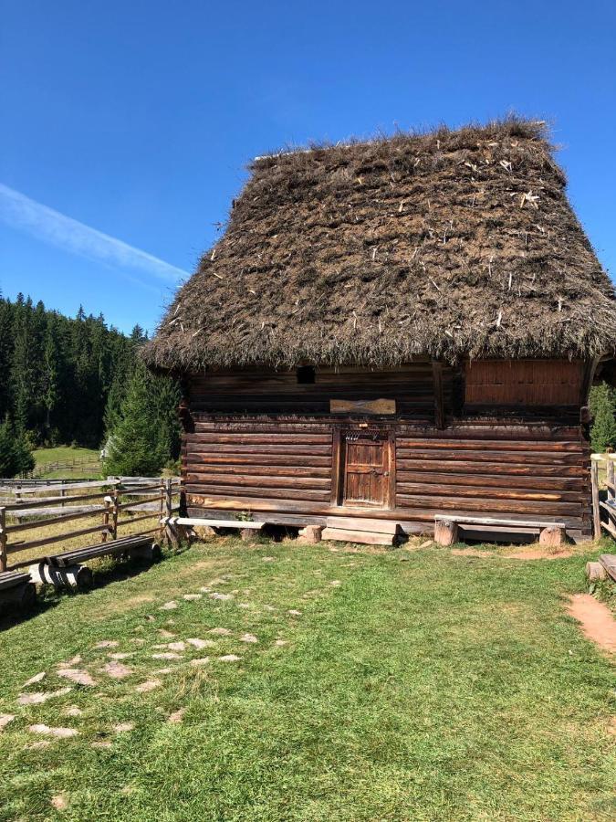 Lodge Poiana Dealul Frumos *