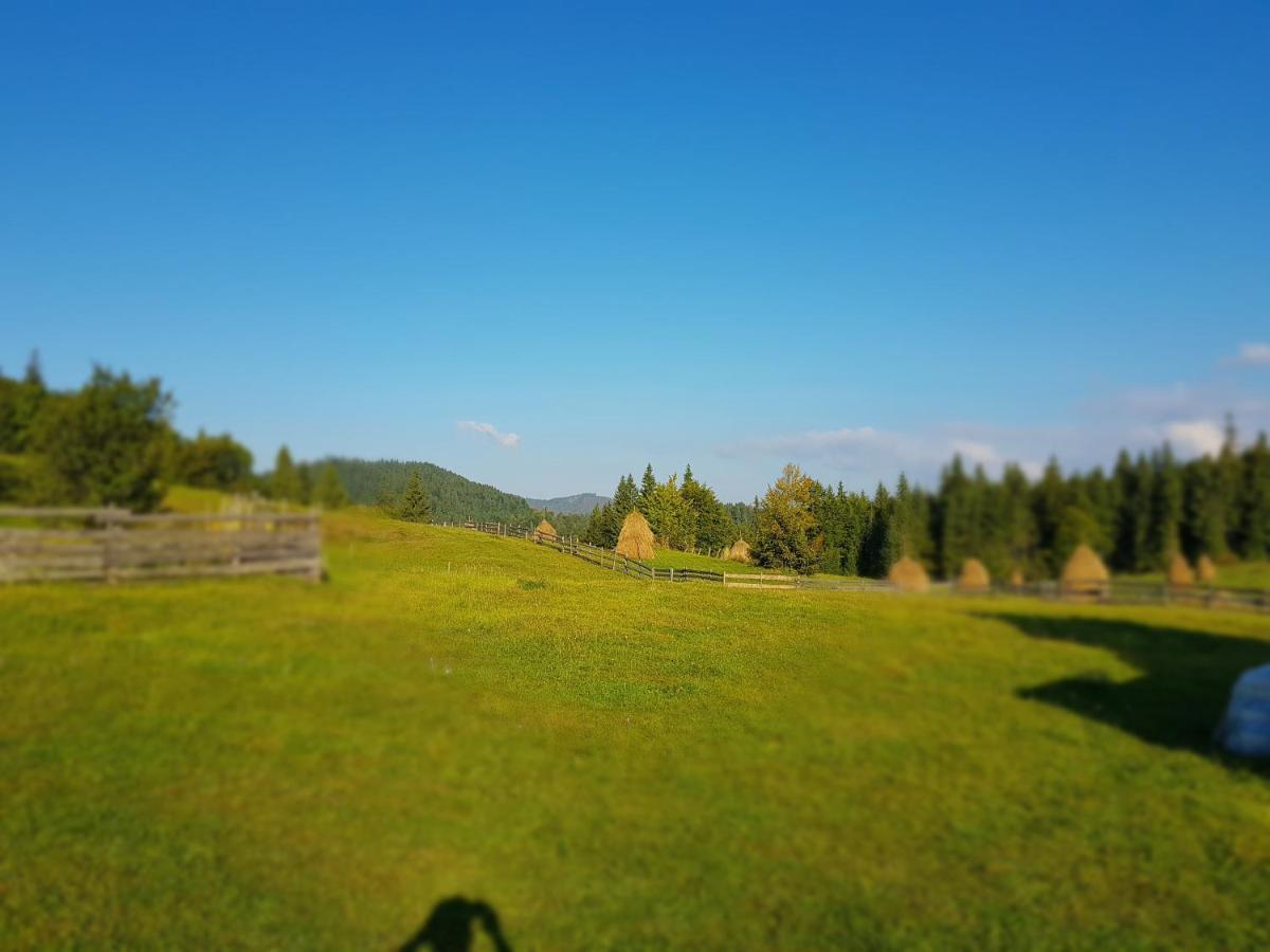 Lodge Poiana Dealul Frumos