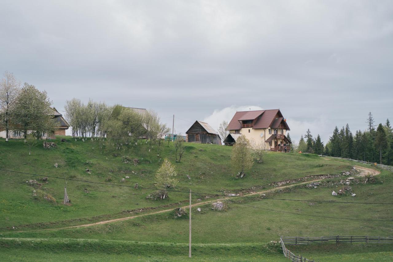 Poiana Dealul Frumos * Gîrda de Sus