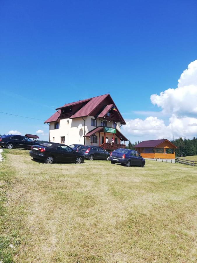 Lodge Poiana Dealul Frumos Gîrda de Sus