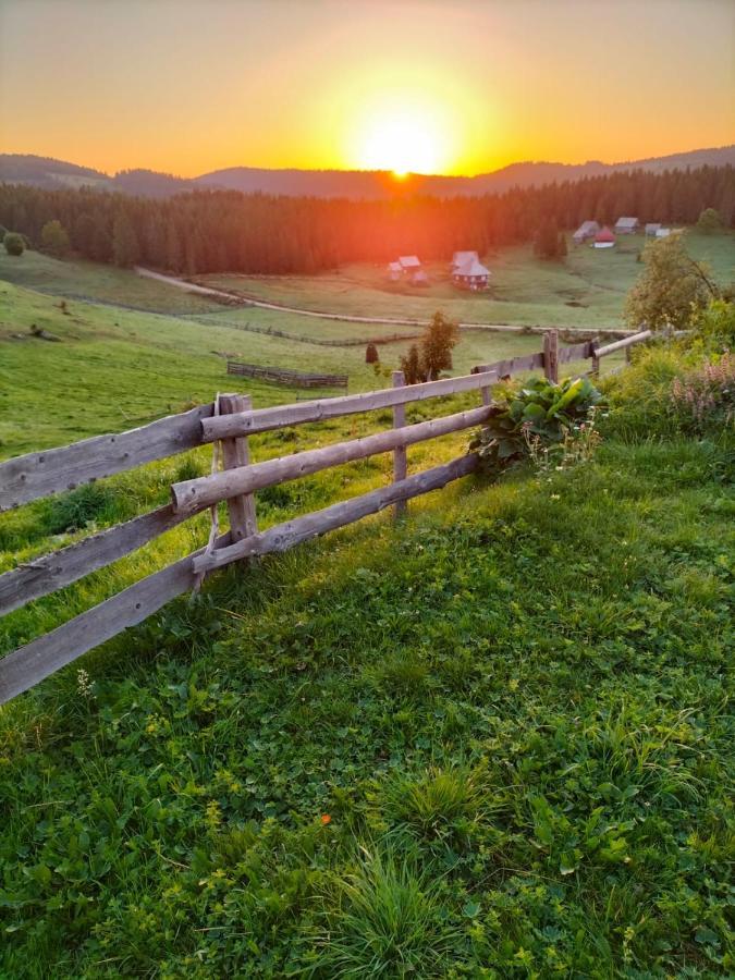 Poiana Dealul Frumos Lodge Gîrda de Sus